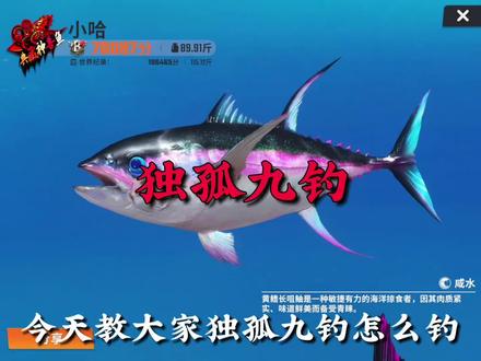 今天教大家“独孤九钓”怎么钓 #欢乐钓鱼大师