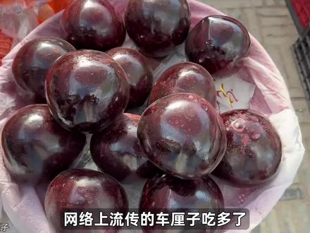 “狂炫”车厘子后中毒了?还能放心吃吗? #车厘子