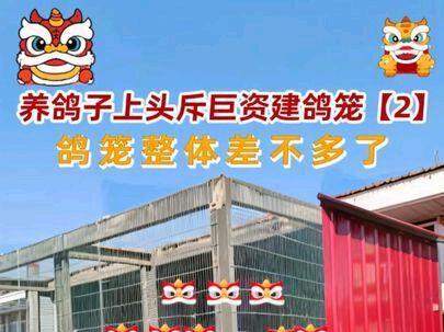 #热门 #鸽子 #养鸽人 鸽笼整体差不多了。休整一下就OK了