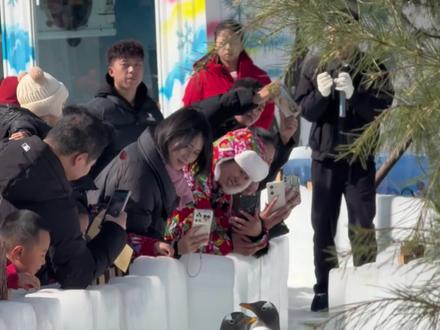 企鹅来六盘水了 可不能抹撒噢 叨人可疼~#企鹅 #企鹅宝宝 #贵州梅花山南国雪乡