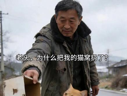 “老头,为什么把我的猫窝扔了?” #猫咪的故事 #猫咪剧情 #橘猫 #流浪猫的故事 #原创剧情