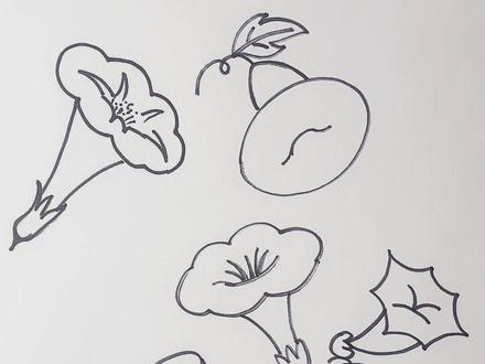 教你画不同的喇叭花,简笔画#简笔画 #儿童简笔画 #每日一画 #想画就画 #画画