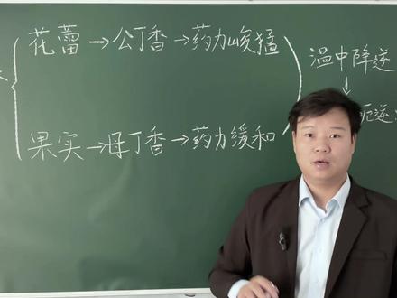 丁香怎么分公母,花蕾入药是公丁香 果实入药是母丁香 #学中医 #丁香 #公丁香 #母丁香 #温中降逆