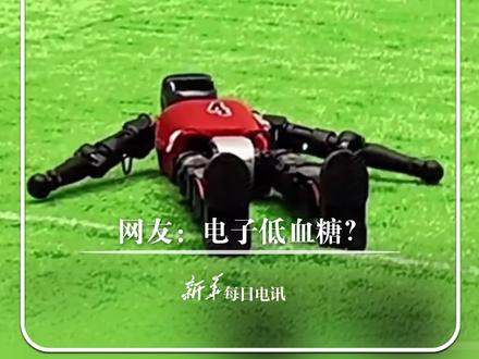机器人足球赛出现有趣一幕,运动员倒地后起身再次摔倒。网友:电子低血糖?#新华每日电讯