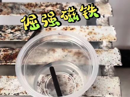 酸会让磁性消失吗#趣味科学实验 #磁铁 #酸 #巧克力 #流量扶持 @DOU+小助手 @抖音小助手