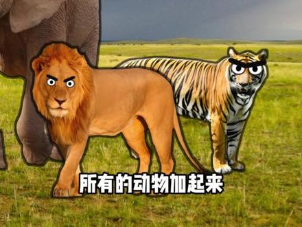 一对一哥斯拉能打赢蓝鲸吗? #知识分享#抽象#动物世界#冷知识