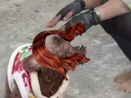 威龙:看到没有她笑得很开心,一点不咬人 #三角洲行动 #三角洲 #三角洲s7阿萨拉新赛季