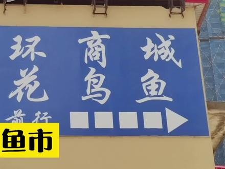哈市道外,原花鸟鱼市已搬至北环商城,现在什么情况(请看)