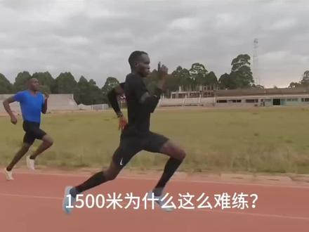 我宣布1500米是最难练的项目。#1500米 #800米 #中长跑 #马拉松 #体育生