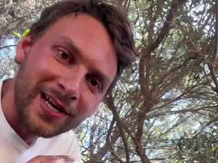 超级可爱的短尾矮袋鼠#动物科普 #知识科普 #短尾矮袋鼠