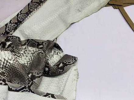 客户定制一件原色蟒蛇皮翻领夹克,这样的皮衣你敢穿吗 #蟒蛇皮皮衣 #真皮皮衣 #皮衣高端定制 #奢侈品定制