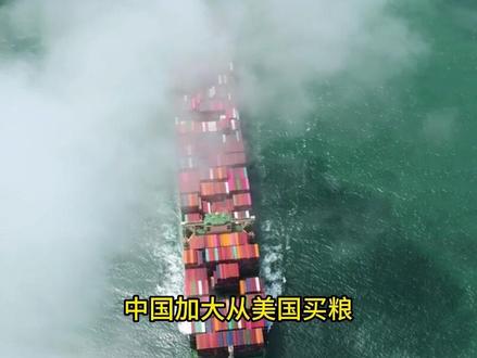 中国进口美国玉米,藏着中国智慧!中国真正的护城河! #国际#国际局势#中国