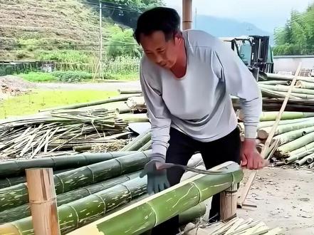 利用毛竹来造纸#毛竹造纸 #造纸