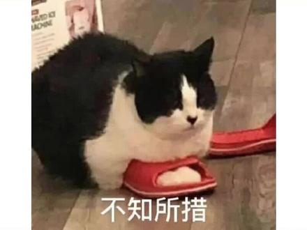 十年的暗恋终于结束了#小说推荐 #暗恋文 #普信男天花板