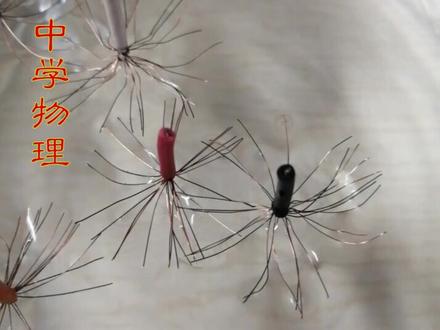 水黾在水面上行走的奥秘,水面张力