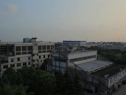 每日解读第0077期解析公司之浙文互联 #浙文互联