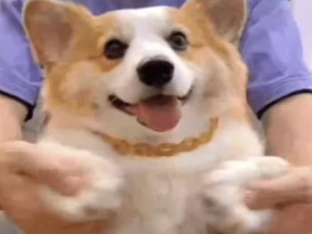 这下听歌再也不用充值会员啦! #番茄音乐 #海量音乐免费听