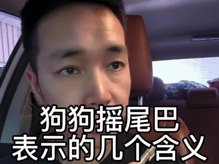 狗狗摇尾巴的含义都看懂了吧#养宠进阶指南 #狗狗 #新手养狗 #养狗经验分享 #我的养宠日常