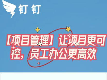 管理员如何在钉钉项目上设置分组,实现项目快速定位和查找?#钉钉 #项目管理 #职场 #企业 #高效办公