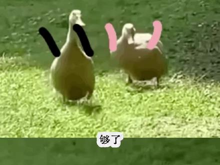 你的演唱会我的演唱会好像不一样#薛之谦 #广州 #薛之谦万兽之王演唱会 #看台 #位置