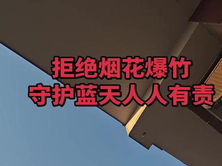 过年了,注意安全哦,祝大家过个好年#过年 #我家的狗狗