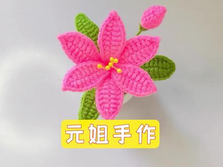 手工编织毛线花 火星兰小盆栽钩织教程 超简单#毛线钩织 #毛线花钩织教程 #小盆栽 #手工毛线编织 #零基础学钩针
