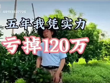 五年亏损120万,一个老果农踩坑经历 #分享农业知识帮农民增产增收 #踩坑 #原创作品 #果园管理 #避坑指南