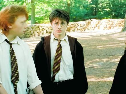 #丹尼尔雷德克里夫 荧幕颜值变化#哈利波特 #颜值 #混剪