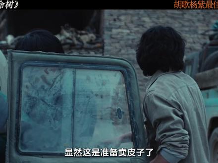 胡歌杨紫《生命树》巡山队卖皮子,扎西张扬闯入无人区 #生命树 #生命树好嗑又共情