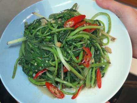 高山野菜“雪芽菜”怎么做?#雪芽菜吃法推荐 #分享家乡美食 #雪芽菜 #秀出我的菜 #美食