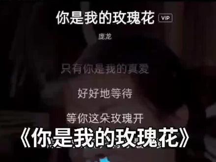 《你是我的玫瑰花》庞龙