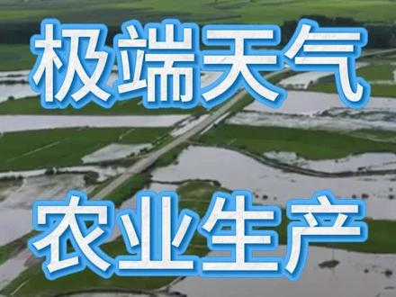 极端天气与农业生产 #三农 #三农种植 #服务三农支持三农 #蔬菜