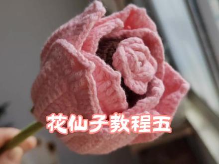 花仙子教程五#我的手工作品 #手工diy#钩针编织 #钩针教程 #手艺人在抖音