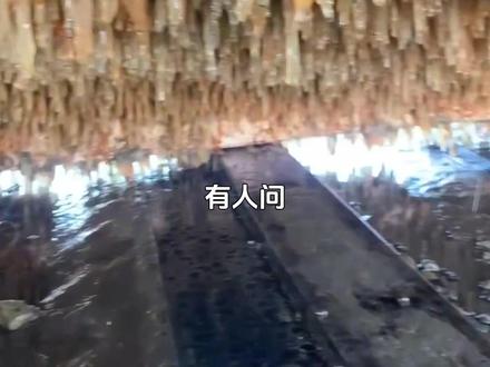 人类清理藤壶的过程,看着挺解压的 #科普知识 #藤壶 #解压视频