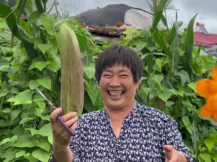 冻茄子冬天吃 我妈准备冻点茄子储存着冬天吃,可能有些人不太理解,“好好的菜为啥冻了,有这成本冬天买菜吃都够了”。嗯,那我简单说说...首先以前村里冬天吃菜不方便,买菜也很贵,能吃的菜几乎就是白菜土豆子,妈妈就慢慢学会了储存家中夏季菜园的蔬菜,到现在也就养成了习惯;其次现在冬天吃菜虽然方便了,但是冬季蔬菜对于我们这儿属于反季蔬菜,几乎都是大棚菜,我妈说那没有自己家种的好吃;还有自己家菜园的菜夏天根本吃不完,量也达不到卖的量,村里邻居也家家都有菜给人也给不出去,所以白白扔了也是可惜,所以妈妈还在坚持冻菜冬天吃,其实我个人认为好好,有些菜冻了之后真的不影响口感,而且真的比冬季买的好吃,比如韭菜、玉米、豆角、茄子、西红柿等等。#新农人计划2024 #乡村生活家 #记录真实生活 #冻茄子