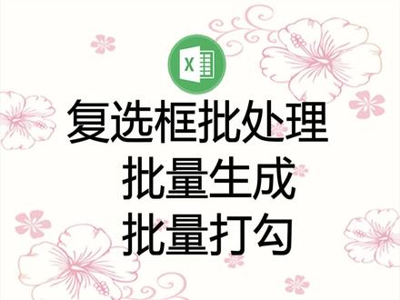 在Excel中批量生成复选框,也可批量删除、批量打勾、批量去掉勾
#罗刚君 #E灵 #Excel插件