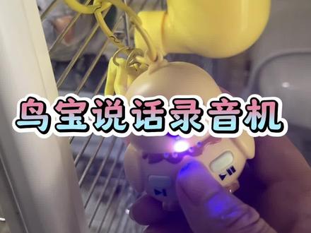 #鹦鹉录音机#和尚鹦鹉说话