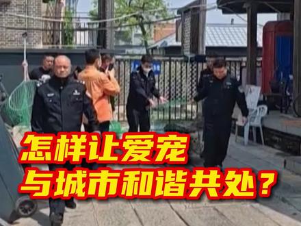 #怎样让爱宠与城市和谐共处 #流浪狗被抓捕后如何处理 寄养条件是否宜居?辽宁省营口市公安局治安支队犬管大队:一手努力为城市“犬患”画上句号,一手耐心写下护宠爱宠的文明新篇。