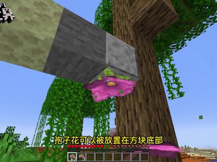 我的世界:我的世界,简单小知识。原来灾厄村民也有爱心! #我的世界 #沙盒 #游戏梦想家寻宝季