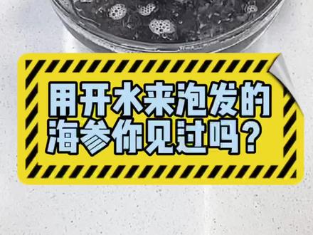 大连底播淡干海参泡发教程#海参 #海参知识 #海参泡发 #泡发海参 #丽姐海参
