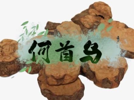 熬夜、白发、掉发、腰酸?
🌿制何首乌,补肝肾、益精血、乌须发
温和调理,由内养出好状态
#中医养生 #何首乌 #养发护发#大同