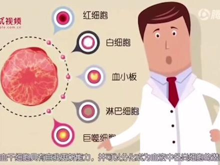 120秒动画科普造血干细胞“归巢”