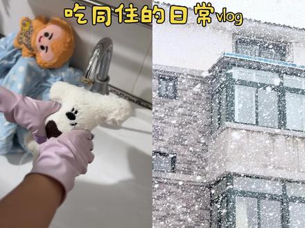 家庭繁育和犬舍区别:
我这里更像家,
小狗从小被人抱、被人疼,性格更温顺
#真实生活计划分享 #记录我的真实生活日常 #阿晴的宠物乐园 #比熊 #家庭繁育