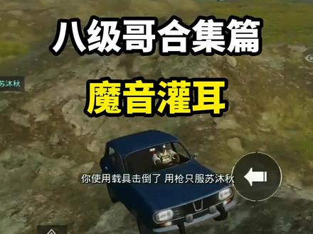 八级哥笑声合集 #八级哥