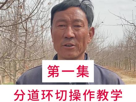 分道环切操作教学➕细节注意事项#服务三农支持三农