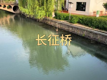 介绍嘉兴市区野钓点长征桥东,目前不走水,西面人多,上了鲤鱼 #钓点分享 #钓鱼人