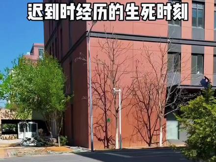 脱缰凯合集 #脱缰凯搞笑瞬间 #脱缰凯 #一人分饰多角 #脱缰凯搞笑合集 #笑到肚子疼 @DOU+上热门 @脱缰凯✨ @抖音小助手 @抖音娱乐 @DOU+流量 @DOU+小助手 @抖音创作灵感