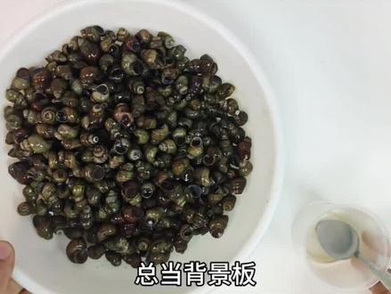 挂钩田螺钓饵大青鱼克星#青鱼钓饵 #钓鱼人就是这么疯狂