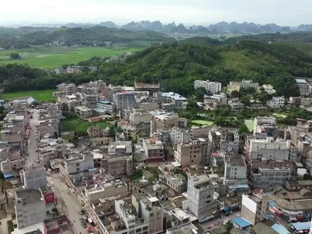航拍广西陆川平乐镇,平原地带,大片稻田绿油油