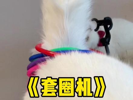 这谁能忍得住不套两个圈啊